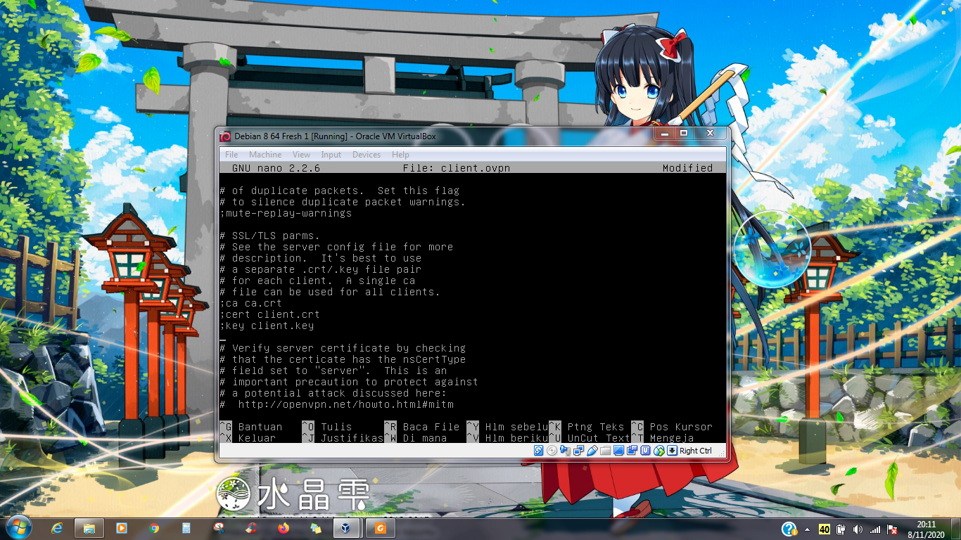 Konfigurasi OpenVPN pada Debian 31